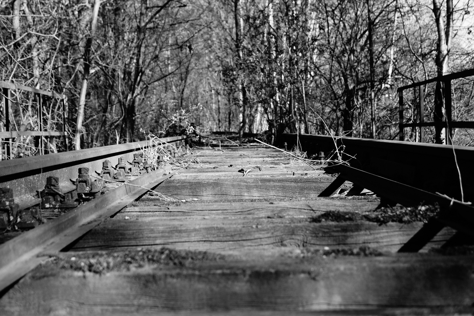 alte Bahngleise im Wald