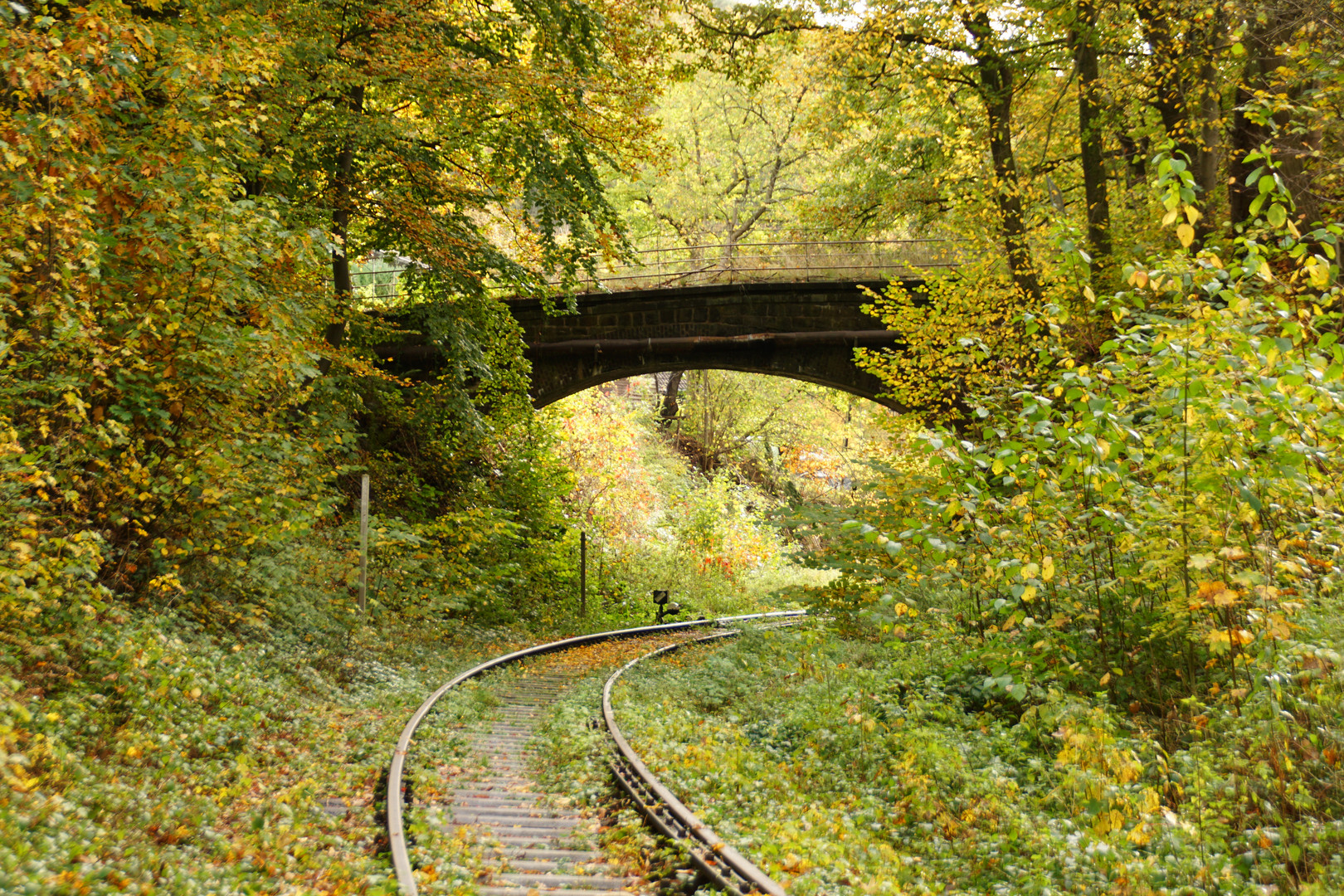 Alte Bahnstrecke Foto &amp; Bild | jahreszeiten, herbst, natur Bilder auf ...