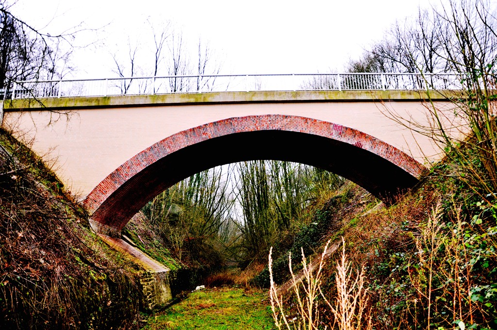 alte Bahntrasse Foto & Bild landschaft, rückkehr der natur, natur