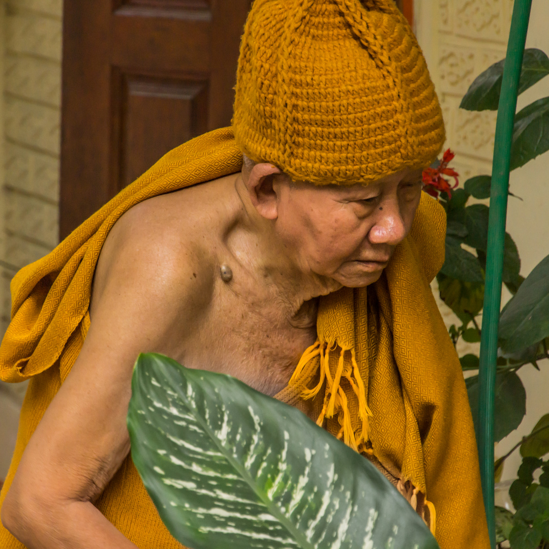 alte Bewohnerin im Wat Doi Suthep - Nordthailand