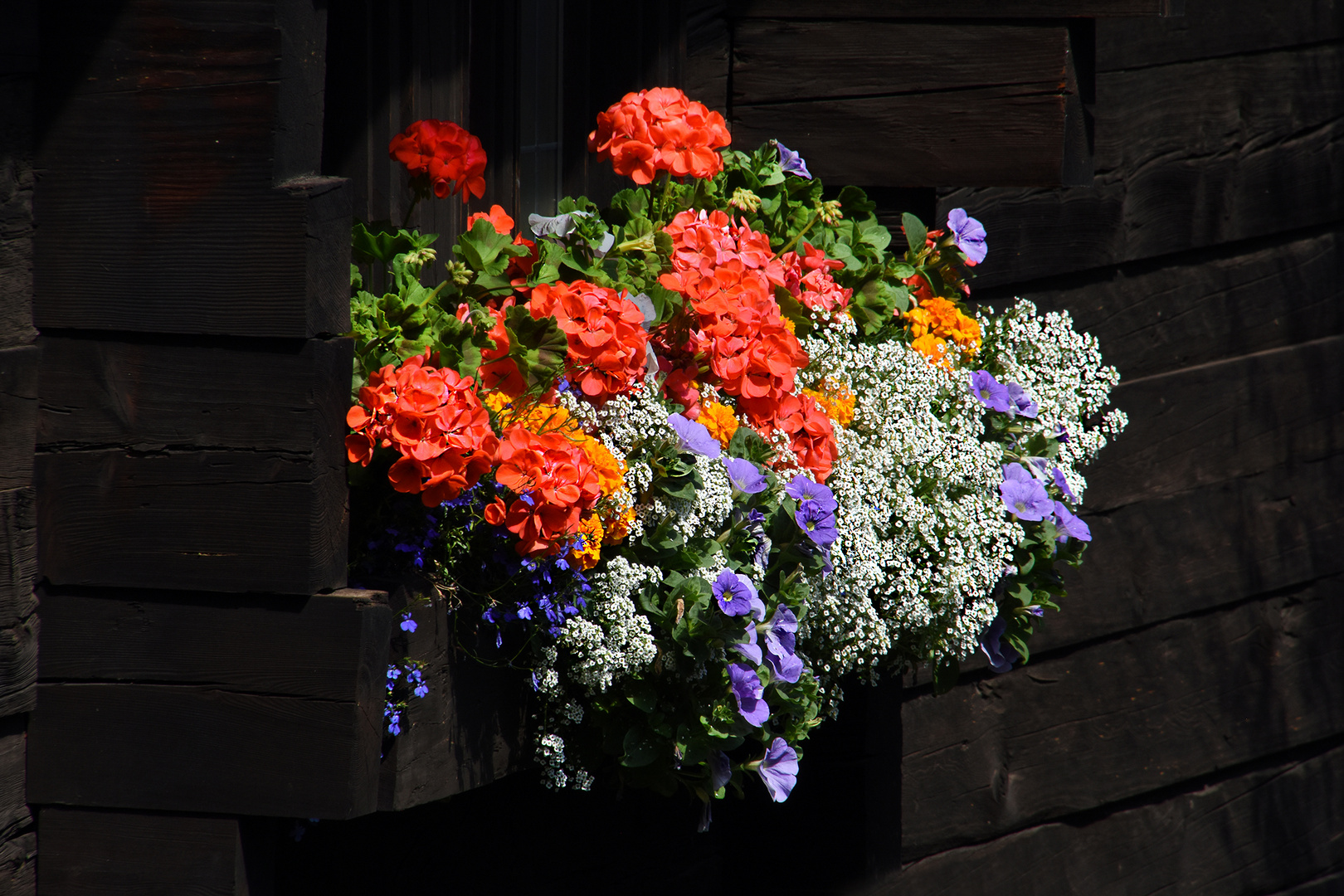 Alte Blumenkästen....