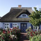 Alte Boddenkate mit Sommergarten in Born