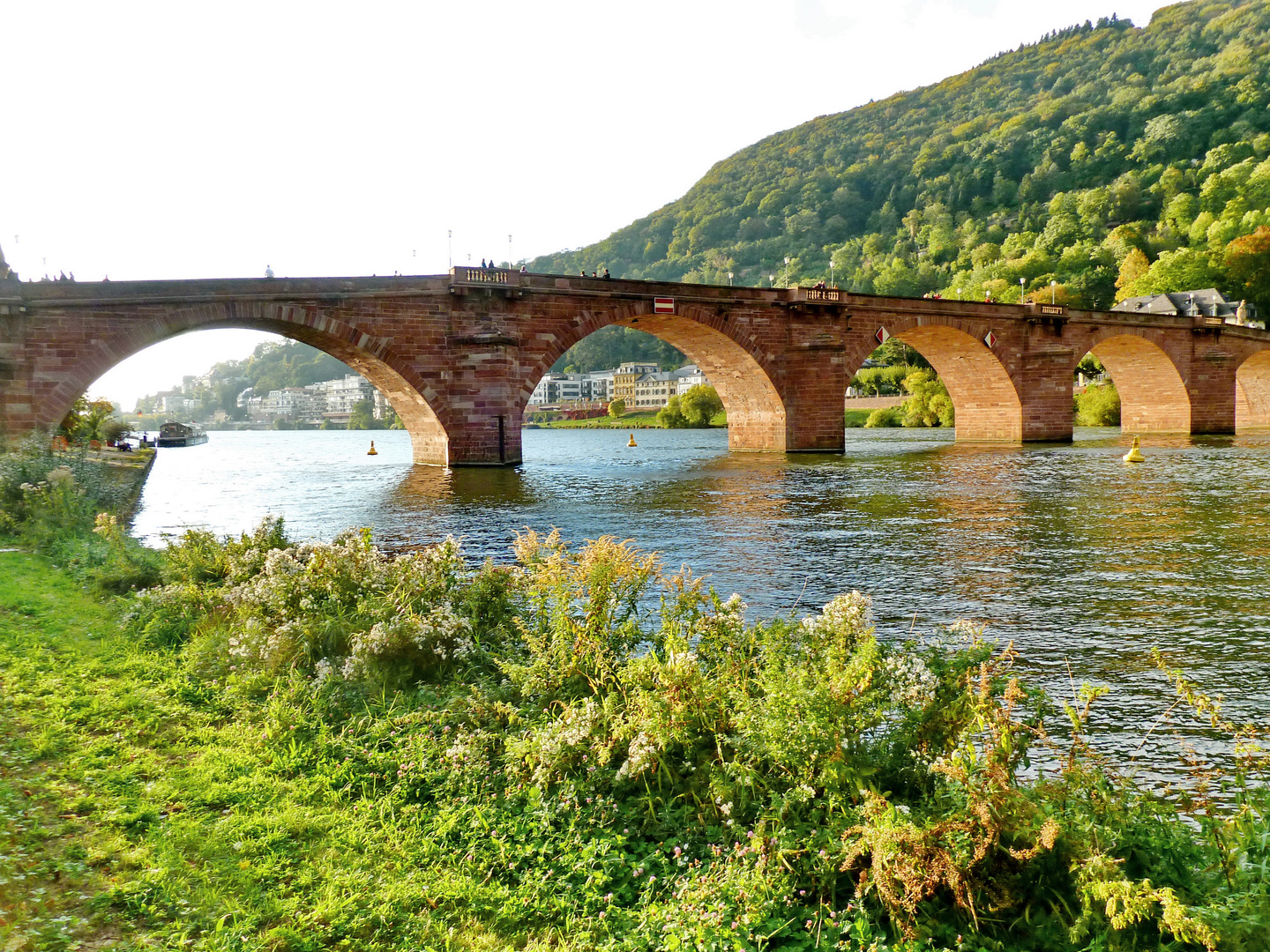 Alte Brück in Heidelberg