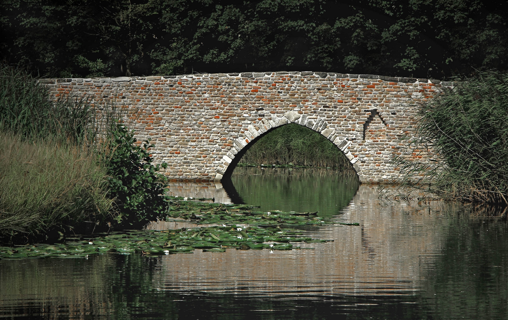 Alte Brücke