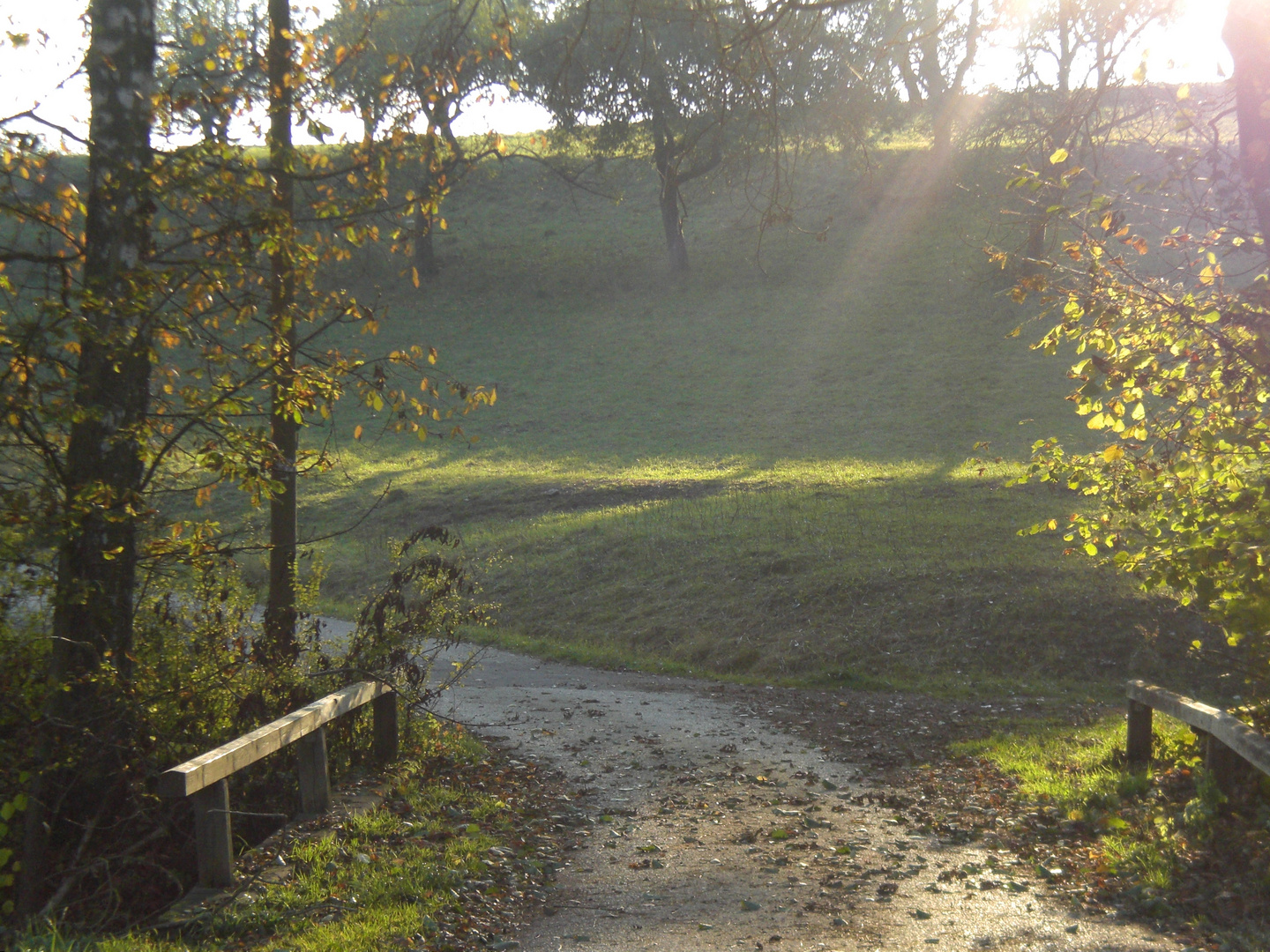 Alte Brücke