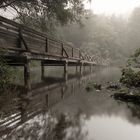 alte Brücke am Würzbacher Weiher