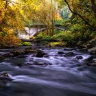 Alte Brücke an der Nette