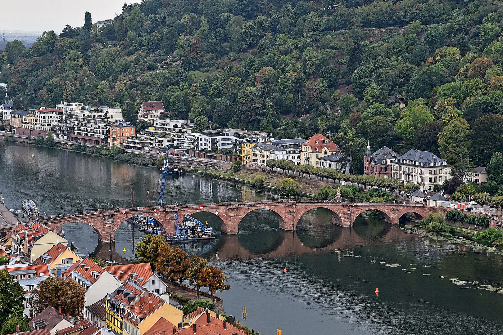 Alte Brücke Heidelberg