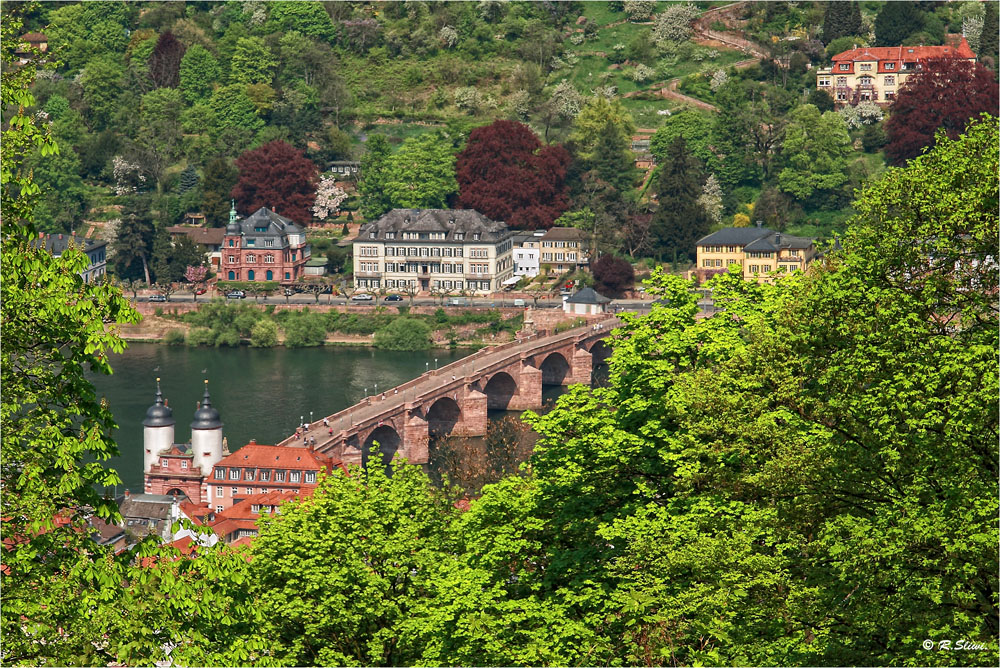 Alte Brücke (Heidelberg)