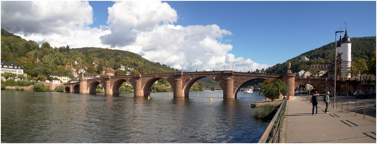 Alte-Brücke-Heidelberg