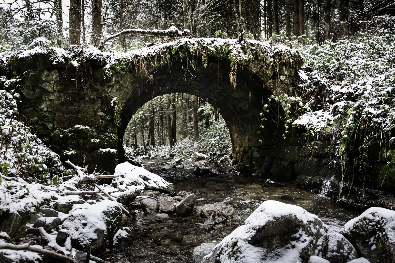 Alte Brücke im Schwarzwald