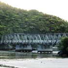 Alte Brücke im Urwald