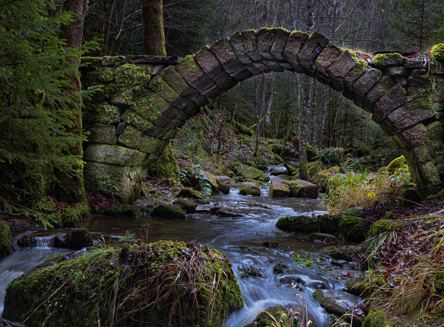 Alte Brücke im Wald bei Hirsau