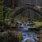 Alte Brücke im Wald bei Hirsau