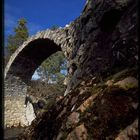 Alte Brücke in Carrbridge / Schottland