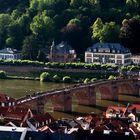 Alte Brücke in Heidelberg