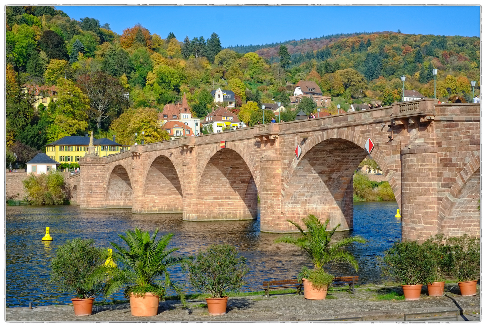 Alte Brücke in Heidelberg