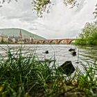 Alte Brücke in Heidelberg vor Neckarufer