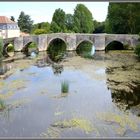 Alte Brücke in St. Savin sur Gartempe