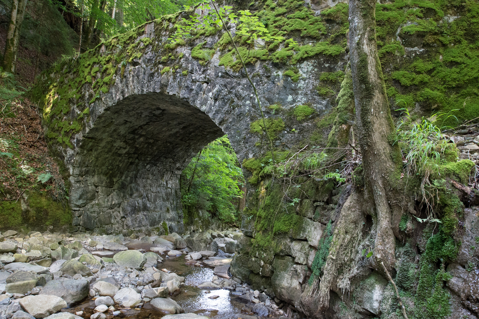Alte Brücke mit Bachlauf Foto & Bild landschaft, bach, fluss & see