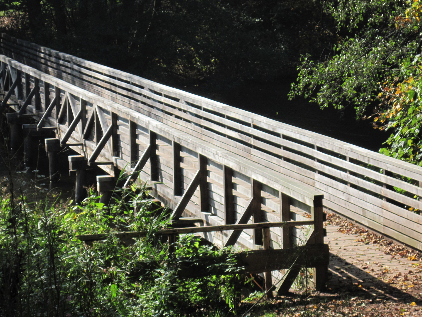 Alte Brücke neu