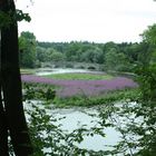 Alte Brücke über die Möhne