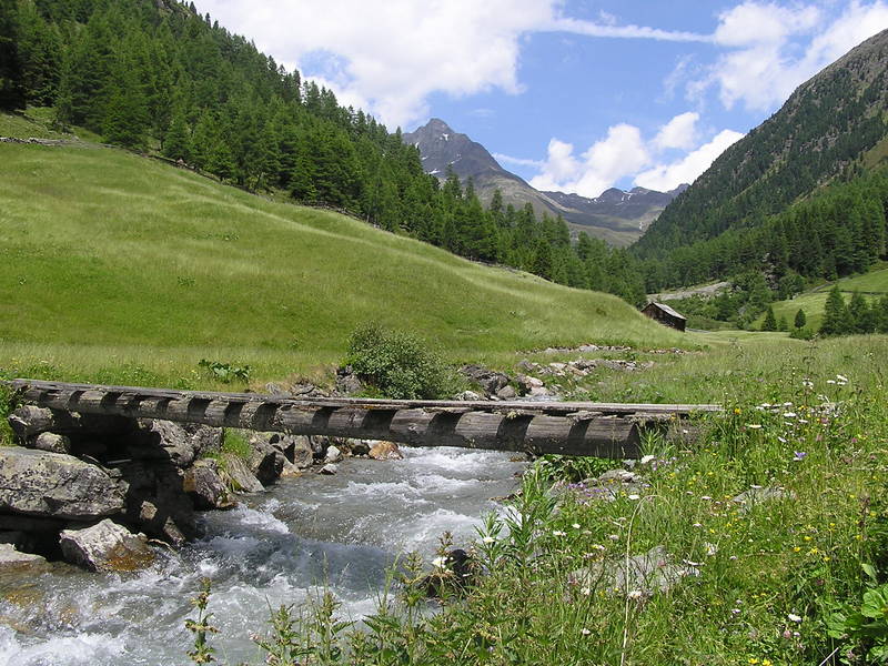 alte Brücke über Gebirgsbach