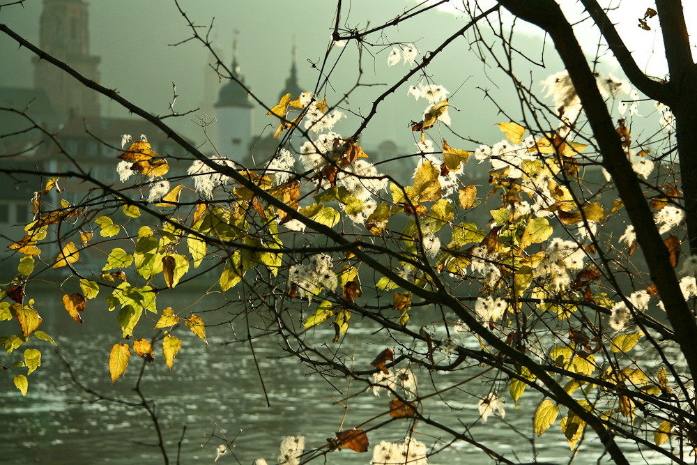 Alte Brücke von Heidelberg im Nebel