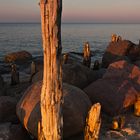 Alte Buhnen im Abendlicht