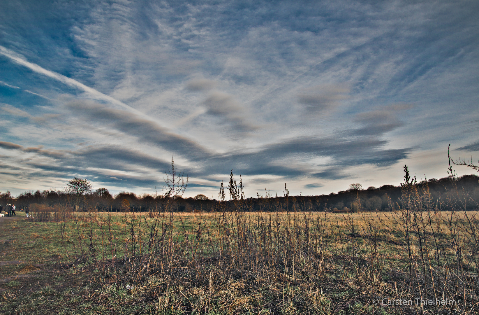 Alte Bult im Januar