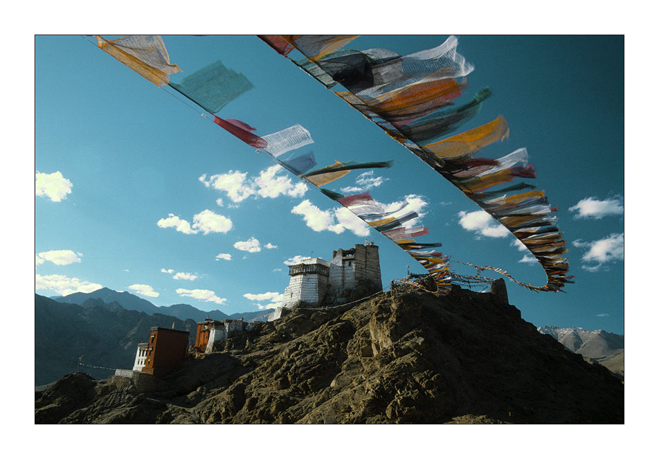 Alte Burg am Namgyal Tsemo, Leh, Ladakh, India