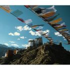 Alte Burg am Namgyal Tsemo, Leh, Ladakh, India