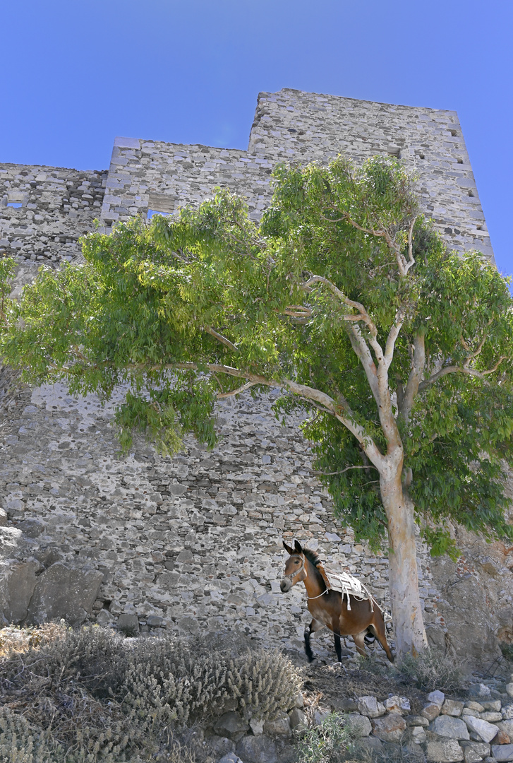 Alte Burgmauer in der Cora  von Astypalea