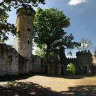 Alte Burgruine am Theresienstein Hof