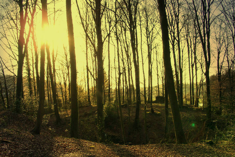 Alte Burgruine( Zopes Muhr) im Wald bei Leichlingen