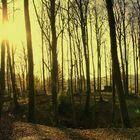 Alte Burgruine( Zopes Muhr) im Wald bei Leichlingen