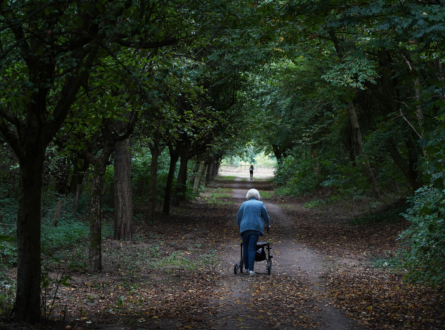 Alte Dame mit Rollator