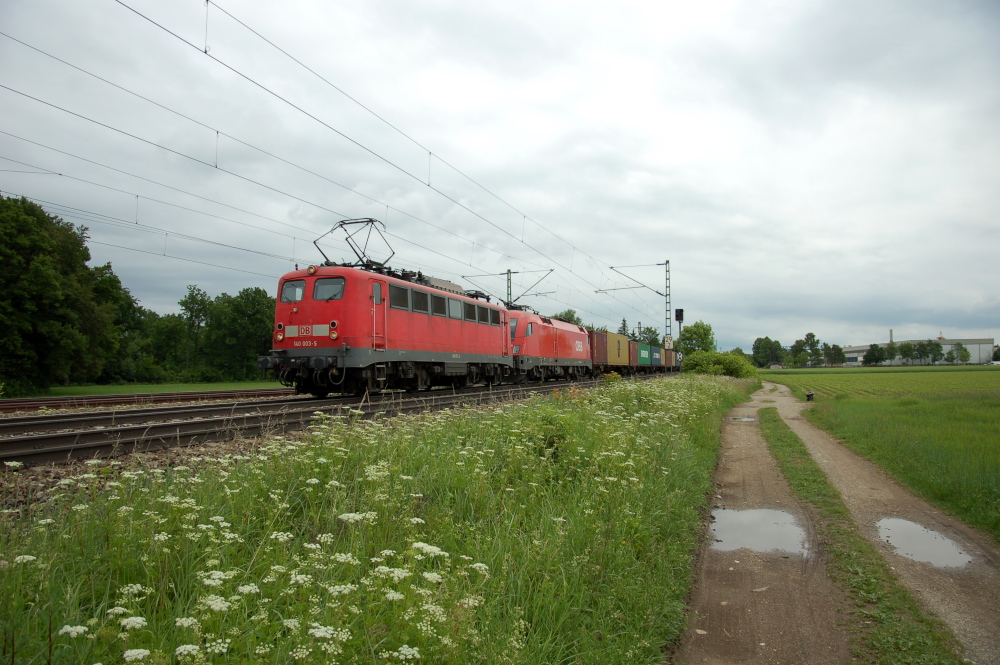 Alte Dame zieht jungen Stier