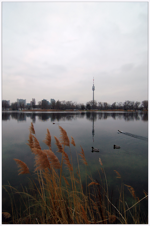 Alte Donau - 2