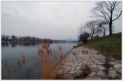 Alte Donau - 3