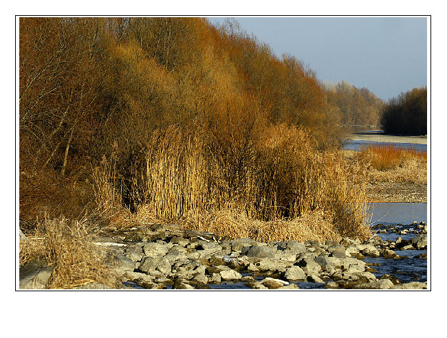 Alte Donau bei Bratsilava / Slovakia