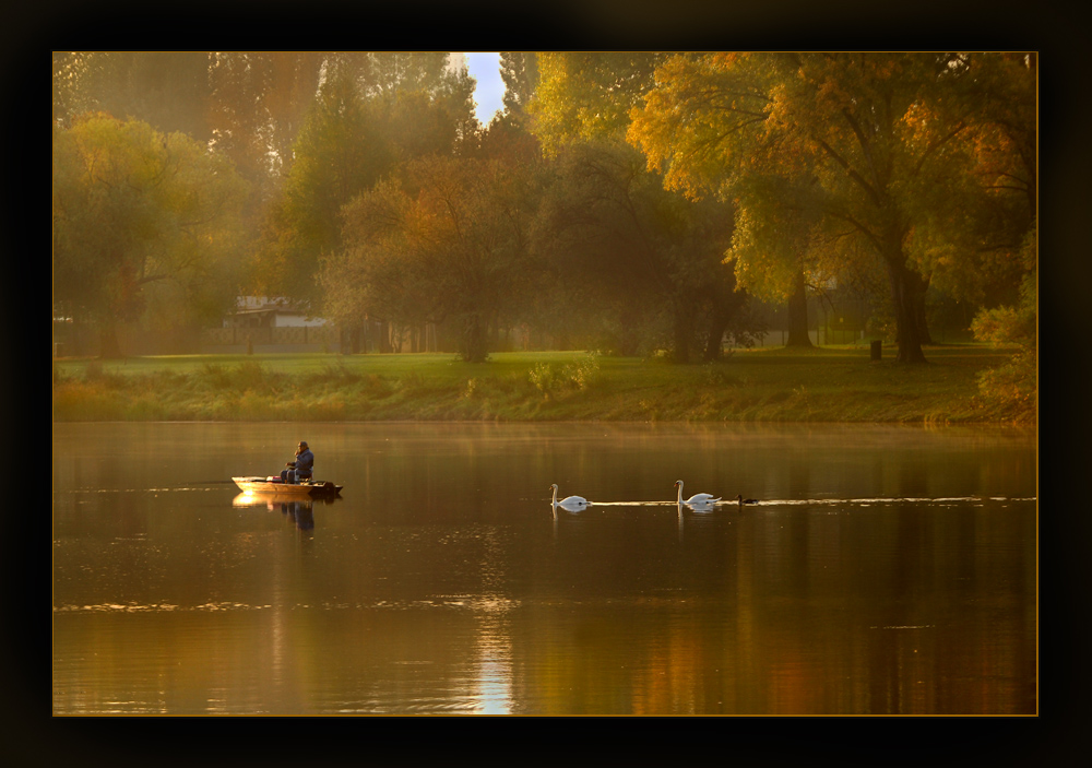 Alte Donau