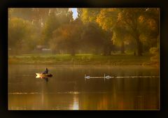 Alte Donau