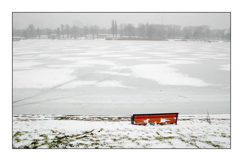 Alte Donau, neues Jahr #1