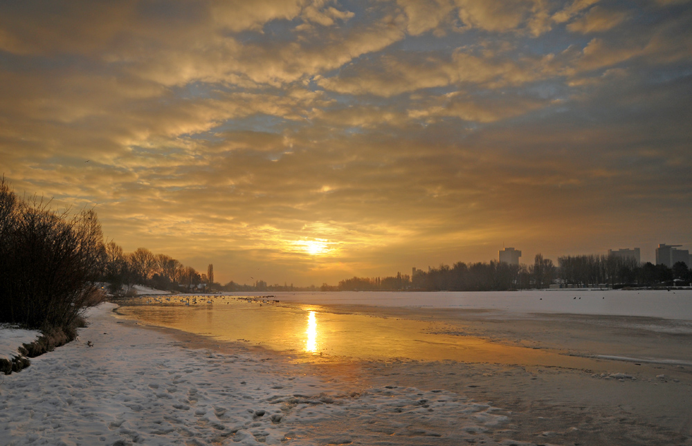 Alte Donau- Winter 2009-1