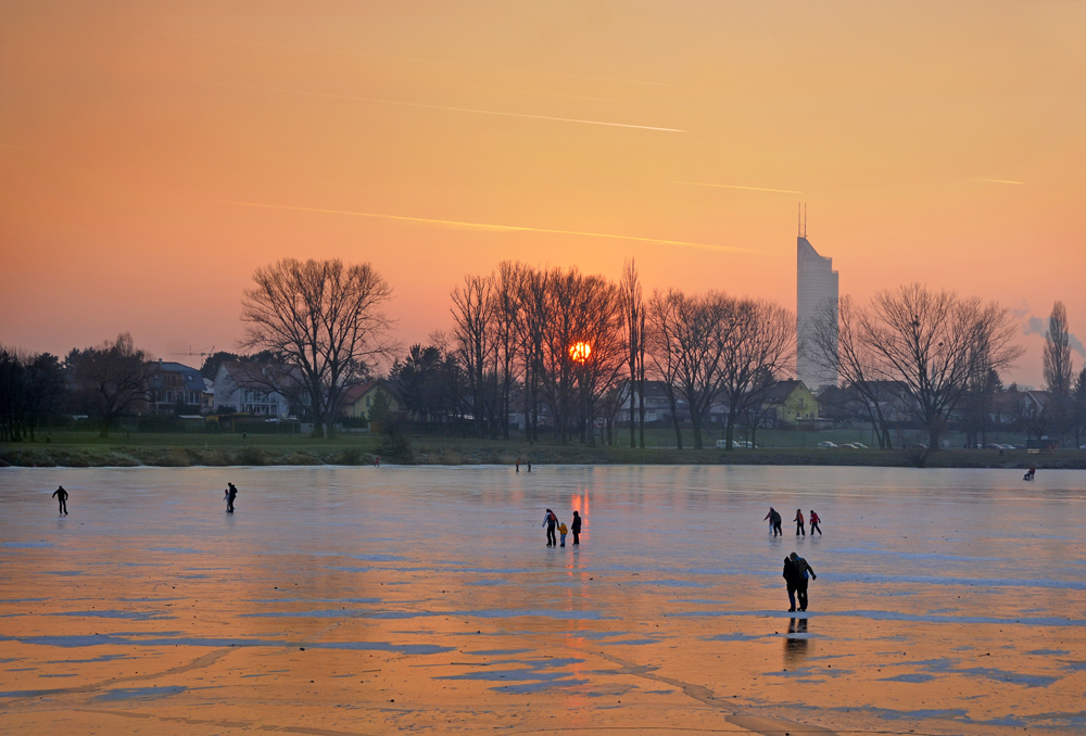 Alte Donau- Winter 2009