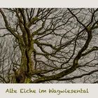 Alte Eiche