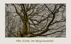 Alte Eiche