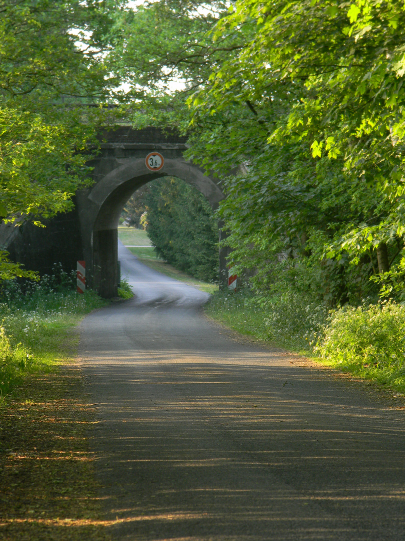 Alte Eisenbahnbrücke