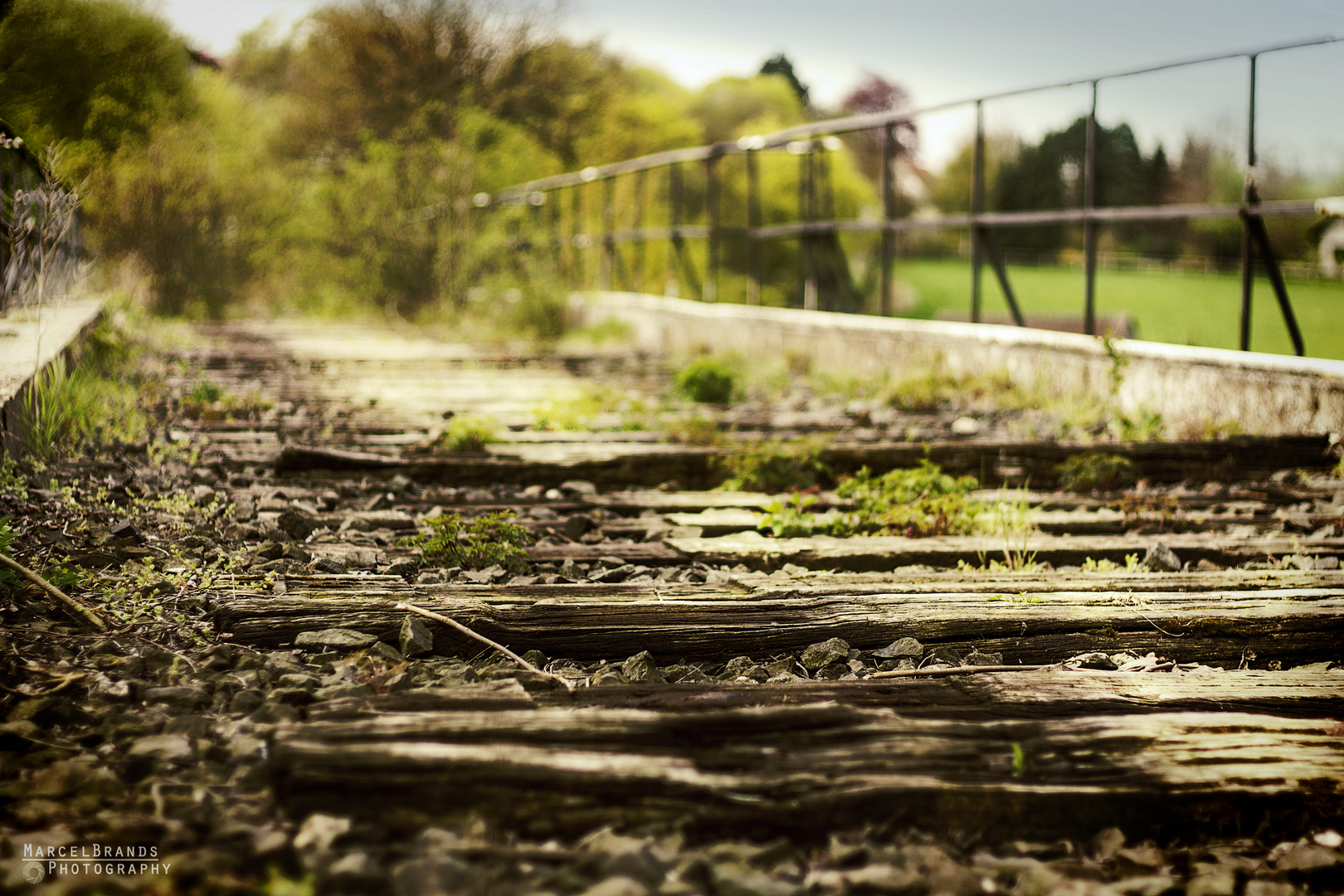 Alte Eisenbahnbrücke